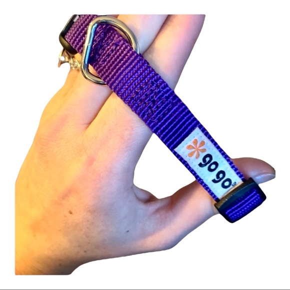 💕HP💕Purple dog collar and green dog brush bundle - Picture 7 of 8